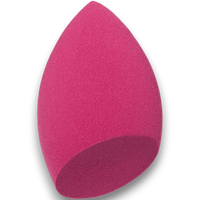 Blending Sponge